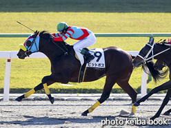 カラープリント(アルミ枠なし)2015年11月28日京都3R 2歳未勝利(ピットボス)