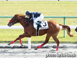 カラープリント(アルミ枠付き)2015年11月28日京都6R 2歳新馬(ヨウチエンコース)