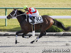 カラープリント(アルミ枠なし)2015年11月28日京都8R 3歳上500万下(ラディカル)