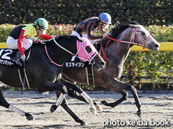 カラーパネル2015年11月28日東京10R 晩秋ステークス(モズライジン)