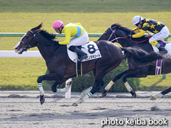 カラーパネル2015年11月29日京都4R 障害オープン(タニノタキシード)