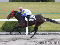 カラープリント(アルミ枠なし)2015年11月29日京都8R 3歳上1000万下(キングノヨアケ)