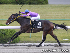 カラープリント(アルミ枠なし)2015年11月29日京都11R オータムリーフステークス(スーサンジョイ)