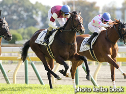 カラープリント(アルミ枠付き)2015年11月29日東京4R 2歳新馬(リンクス)