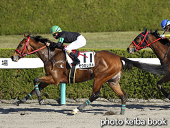 カラープリント(アルミ枠なし)2015年12月5日阪神1R 2歳未勝利(モウカッテル)