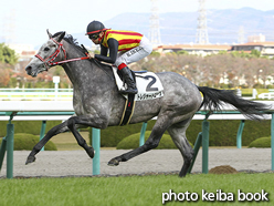 カラープリント(アルミ枠付き)2015年12月5日阪神3R 2歳未勝利(トレジャートローヴ)