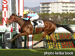 カラープリント(アルミ枠付き)2015年12月5日阪神5R 2歳新馬(カサロサーダ)