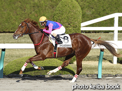 カラープリント(アルミ枠なし)2015年12月5日阪神6R 2歳新馬(メイショウカネサダ)