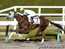 カラーパネル2015年12月5日阪神7R 3歳上500万下(フミノスナイパー)