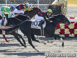 カラープリント(アルミ枠付き)2015年12月5日中京2R 3歳上500万下(ワイルドダラー)