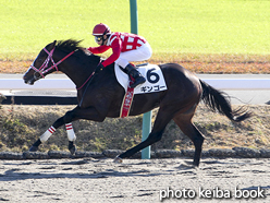 カラーパネル2015年12月5日中山1R 2歳未勝利(ギンゴー)