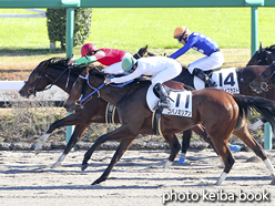 カラープリント(アルミ枠付き)2015年12月5日中山4R 2歳未勝利(マイネルビクトリー)