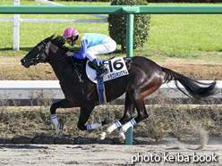 カラープリント(アルミ枠付き)2015年12月5日中山7R 3歳上500万下(ドラゴンキングダム)