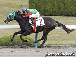 カラープリント(アルミ枠付き)2015年12月6日阪神1R 2歳未勝利(シゲルノコギリザメ)