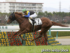 カラープリント(アルミ枠なし)2015年12月6日阪神3R 2歳未勝利(ノガロ)