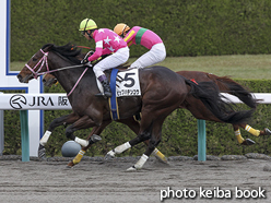 カラーパネル2015年12月6日阪神4R 障害未勝利(ビップハテンコウ)