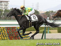 カラープリント(アルミ枠なし)2015年12月6日阪神6R 2歳新馬(サトノマルス)