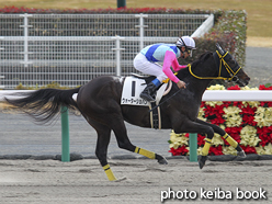 カラーパネル2015年12月6日中京3R 3歳上500万下(ウォーターショパン)