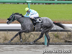 カラープリント(アルミ枠なし)2015年12月6日中山9R 霞ヶ浦特別(リッカルド)