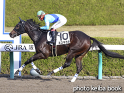 カラーパネル2015年12月12日阪神2R 2歳未勝利(ミスキララ)