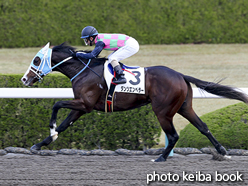 カラープリント(アルミ枠付き)2015年12月12日阪神3R 2歳未勝利(ダンツエンペラー)