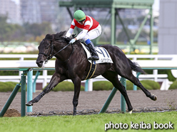 カラーパネル2015年12月12日阪神4R 2歳未勝利(ショウナンアヴィド)