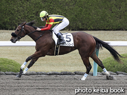 カラープリント(アルミ枠なし)2015年12月12日阪神7R 2歳500万下(エルフィンコーブ)