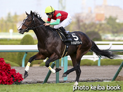 カラープリント(アルミ枠付き)2015年12月12日阪神10R 六甲アイランドステークス(マイネルアウラート)