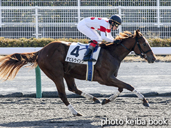 カラープリント(アルミ枠なし)2015年12月12日中京1R 2歳未勝利(デビルウイング)