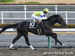 カラーパネル2015年12月12日中京11R 浜名湖特別(サクセスグローリー)