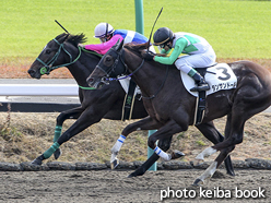 カラーパネル2015年12月12日中山3R 2歳未勝利(スケールアップ)