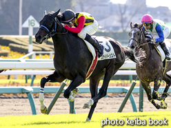 カラープリント(アルミ枠なし)2015年12月12日中山4R 2歳未勝利(ステイパーシスト)