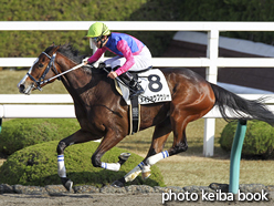 カラープリント(アルミ枠なし)2015年12月13日阪神1R 2歳未勝利(メイショウフウシャ)