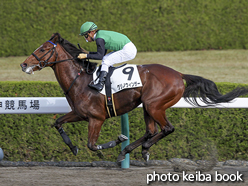 カラーパネル2015年12月13日阪神2R 2歳未勝利(クリノウィンザー)