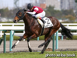 カラープリント(アルミ枠付き)2015年12月13日阪神4R 2歳未勝利(レオナルド)