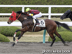 カラープリント(アルミ枠なし)2015年12月13日阪神8R 3歳上500万下(エイシンナセル)