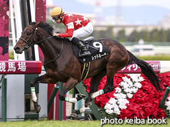 カラーパネル2015年12月13日阪神9R 境港特別(レッドルーラー)