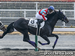 カラープリント(アルミ枠なし)2015年12月13日中京2R 3歳上500万下(コンセギール)