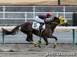 カラープリント(アルミ枠付き)2015年12月13日中京6R 3歳上500万下(ヒムカ)