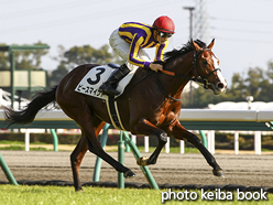 カラーパネル2015年12月13日中京7R 2歳未勝利(ピースマインド)