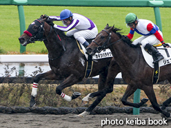 カラープリント(アルミ枠付き)2015年12月13日中山1R 2歳未勝利(カキツバタチグサ)