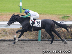 カラープリント(アルミ枠付き)2015年12月13日中山2R 2歳未勝利(カズノテイオー)