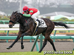 カラープリント(アルミ枠なし)2015年12月13日中山4R 2歳未勝利(プールアンレーヴ)