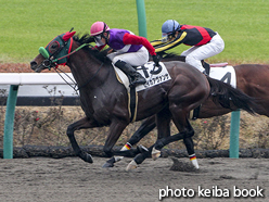 カラープリント(アルミ枠なし)2015年12月13日中山8R 3歳上1000万下(セイカアヴァンサ)