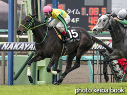 カラープリント(アルミ枠なし)2015年12月13日中山9R チバテレ杯(スカイキューティー)