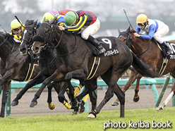 カラープリント(アルミ枠なし)2015年12月13日中山10R 美浦ステークス(レイヌドネージュ)