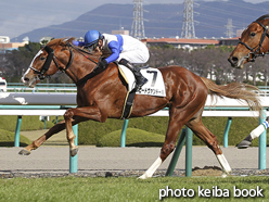 カラープリント(アルミ枠なし)2015年12月19日阪神4R 2歳未勝利(ロードヴァンドール)