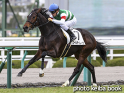 カラープリント(アルミ枠付き)2015年12月19日阪神5R 2歳新馬(エールデュレーヴ)