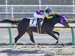 カラープリント(アルミ枠付き)2015年12月19日中京1R 2歳未勝利(ロワノワール)