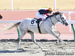 カラープリント(アルミ枠付き)2015年12月19日中京5R 2歳新馬(ステイチューン)